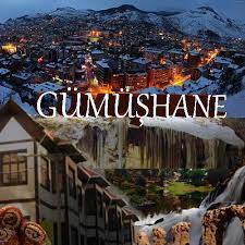Gümüşhane — Torul web tasarım